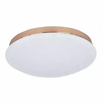 Потолочный светильник Ledante 2465-2C F-Promo