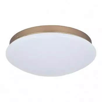 Потолочный светильник Ledante 2466-2C F-Promo