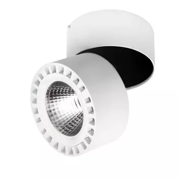 Потолочный светильник Lightstar Forte 381363