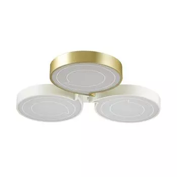 Потолочный светильник Lumion Dilip 3646/60CL