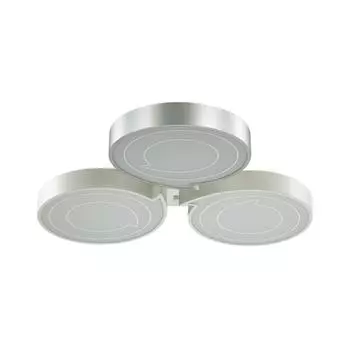 Потолочный светильник Lumion Dilip 3696/60CL