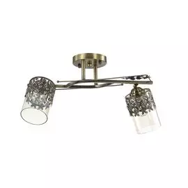 Потолочный светильник Lumion Mirela 3097/2CA