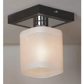 Потолочный светильник Lussole Costanzo LSL-9007-01