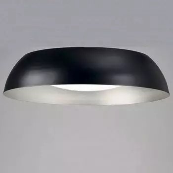 Потолочный светильник Mantra Argenta 4848E