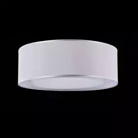 Потолочный светильник Maytoni Modern MOD617CL-04GR