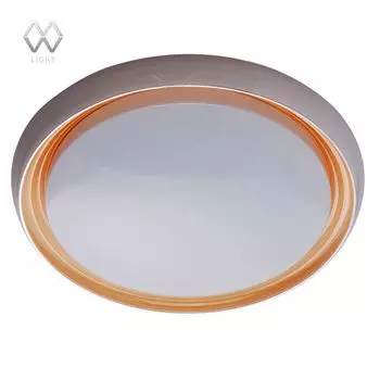 Потолочный светильник MW-Light Ривз 674011801
