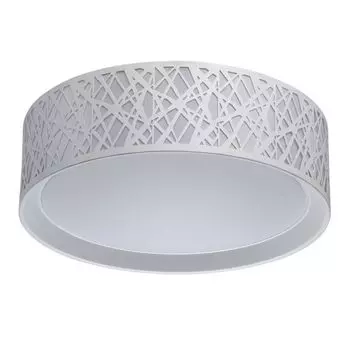 Потолочный светильник MW-Light Ривз 674012501