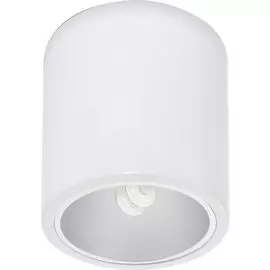 Потолочный светильник Nowodvorski Downlight 4866