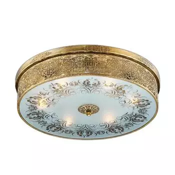 Потолочный светильник Odeon Light Aster 2782/6C