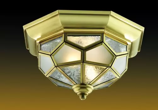 Потолочный светильник Odeon Light Clerk 2271/3C