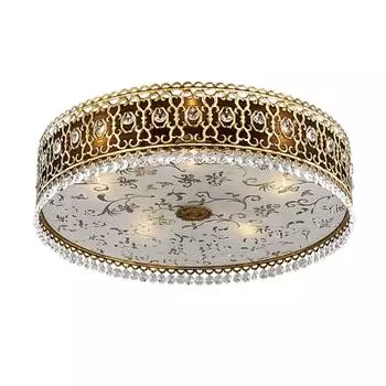 Потолочный светильник Odeon Light Salona 2641/5C