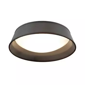 Потолочный светильник Odeon Light Sapia 4158/3C