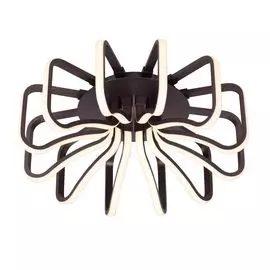 Потолочный светильник Omnilux Montegrosso OML-44817-132