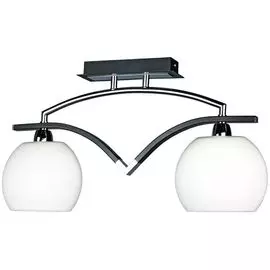 Потолочный светильник Omnilux OML-26927-02