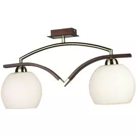 Потолочный светильник Omnilux OML-26937-02