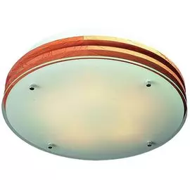 Потолочный светильник Omnilux OML-40317-05