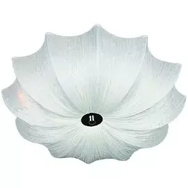 Потолочный светильник Omnilux OML-41907-06