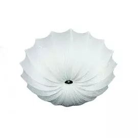 Потолочный светильник Omnilux OML-42007-04