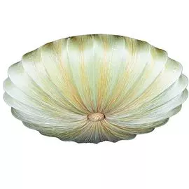 Потолочный светильник Omnilux OML-42207-06