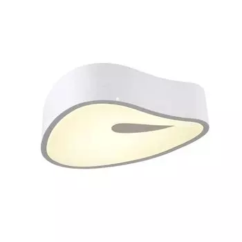 Потолочный светильник Omnilux OML-45507-25