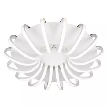 Потолочный светильник Omnilux OML-48107-112