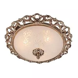 Потолочный светильник Omnilux OML-73917-03