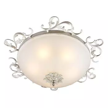 Потолочный светильник Omnilux OML-76517-05