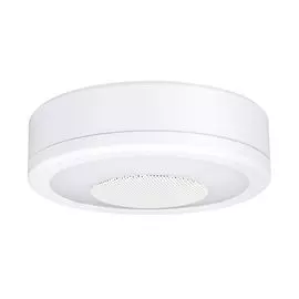 Потолочный светильник Paulmann Light Sound 92096