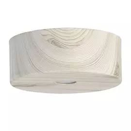 Потолочный светильник RegenBogen Life Иланг 712010601