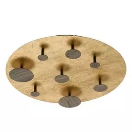 Потолочный светильник RegenBogen Life Иланг 712011908