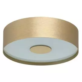 Потолочный светильник RegenBogen Life Энигма 688010501