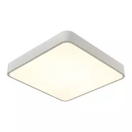 Потолочный светильник Scena A2663PL-1WH Arte Lamp