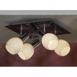 Потолочный светильник Senigallia LSX-5507-04 Lussole