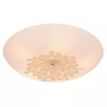 Потолочный светильник Silver Light Verbena 835.50.5