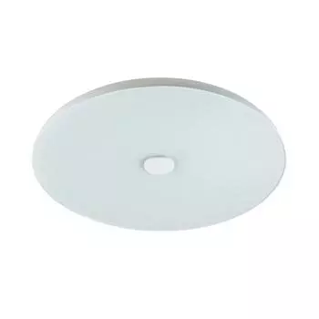 Потолочный светильник Sonex Roki Muzcolor 4629/CL