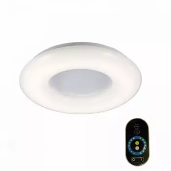 Потолочный светильник ST Luce Albo SL902.562.01D