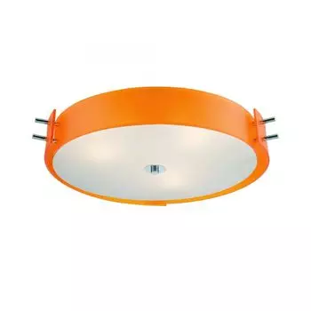 Потолочный светильник ST Luce Hegia SL484.092.04