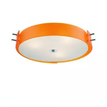 Потолочный светильник ST Luce Hegia SL484.092.06