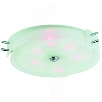 Потолочный светильник ST Luce Hegia SL484.502.06