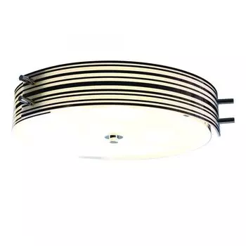 Потолочный светильник ST Luce Hegia SL484.542.06