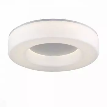 Потолочный светильник ST Luce Lordin SL886.502.01