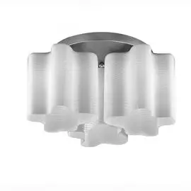 Потолочный светильник ST Luce Onde SL117.502.03