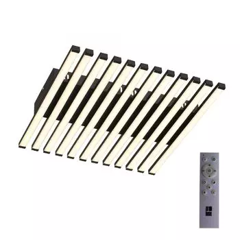 Потолочный светильник ST Luce Paralleli SL839.402.18