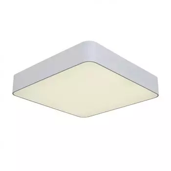Потолочный светильник ST Luce Presente SL955.502.01D