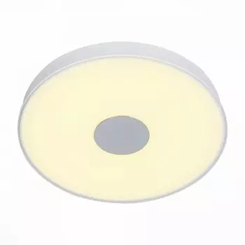 Потолочный светильник ST Luce Semplicita SL473.502.01D