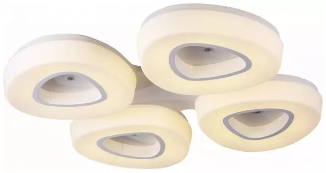 Потолочный светильник ST Luce Sl878 SL878.502.04-T5