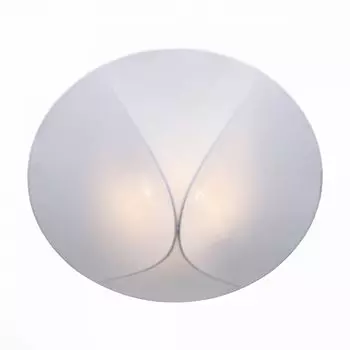 Потолочный светильник ST Luce Tonico SL360.552.02