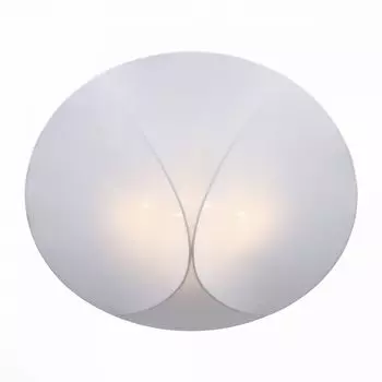 Потолочный светильник ST Luce Tonico SL360.552.04