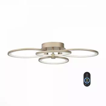 Потолочный светильник ST Luce Twiddle Dimmer SL867.202.04