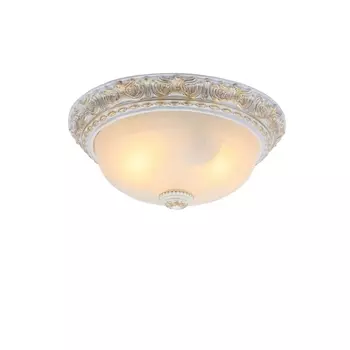 Потолочный светильник Torta A7121PL-2WG Arte Lamp